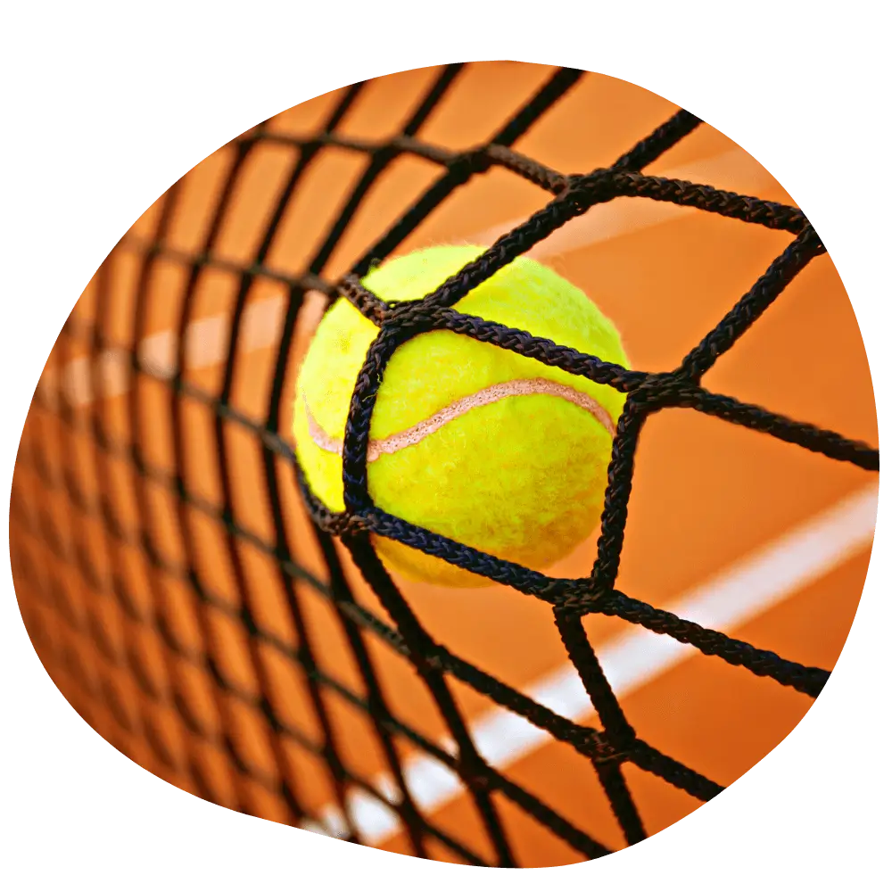 Social Media Marketing Case Study Tennis
